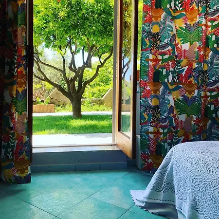 Blanda B&B-3