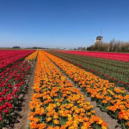 De Zwarte Ruiter-2