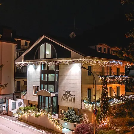 Hotel Petite Fleur-2