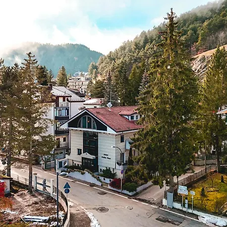 Hotel Petite Fleur-3