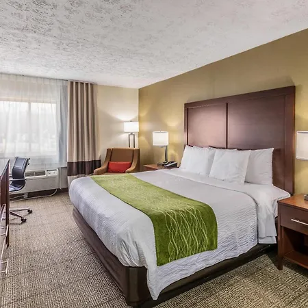 Comfort Inn Medford-Long Island-2