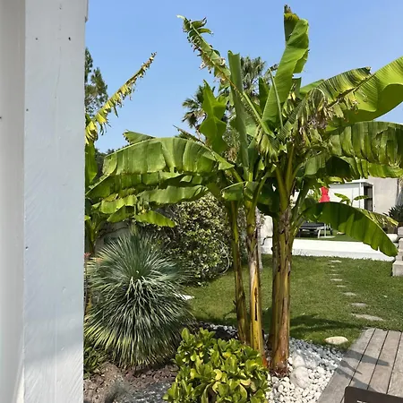 Villa Le Sud-3