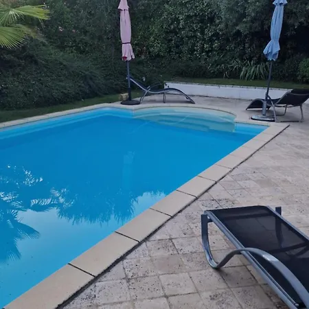 Le MAS du Sud-2