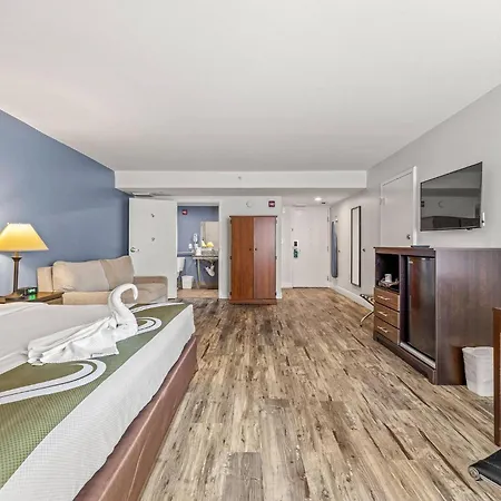 Quality Inn & Suites Tampa Near Fairgrounds And Casino-3