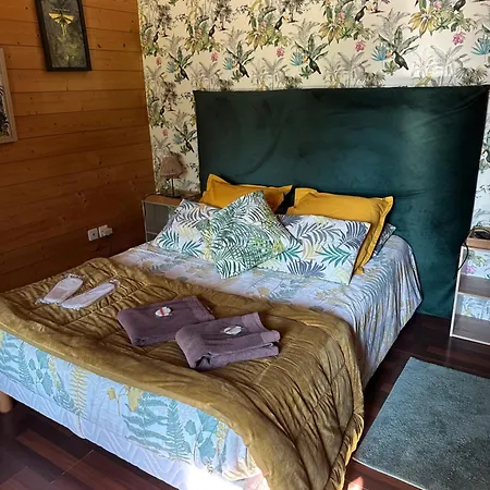 Maison de Lege-3