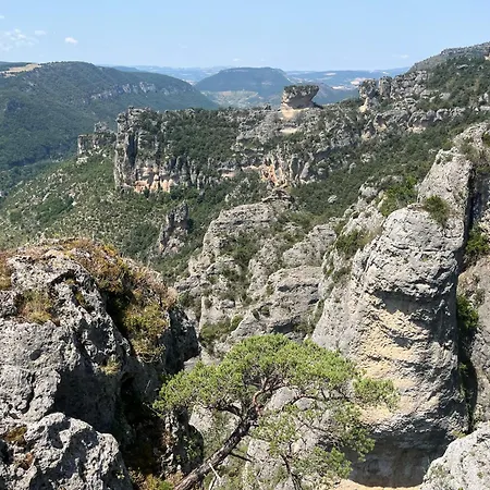 Domaine Aigoual Cevennes-3