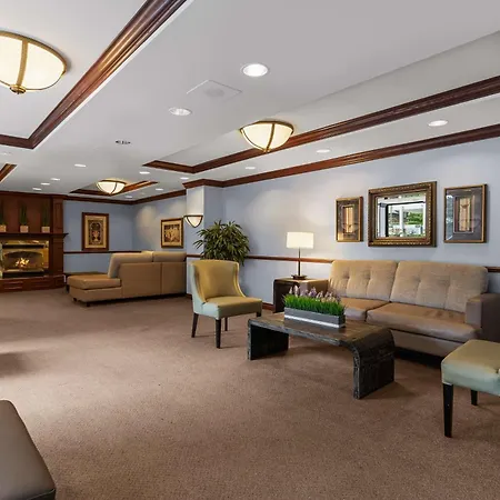 Best Western Ville-Marie Montreal Hotel & Suites-2