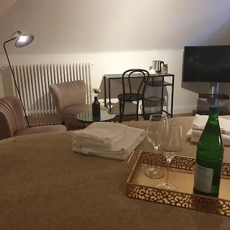 Boutique Hotel Villa Horbach-2