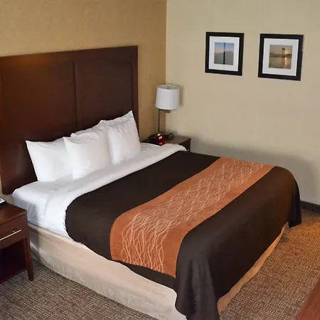 Comfort Inn & Suites Vancouver Downtown City Center-2