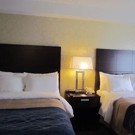 Comfort Inn-3
