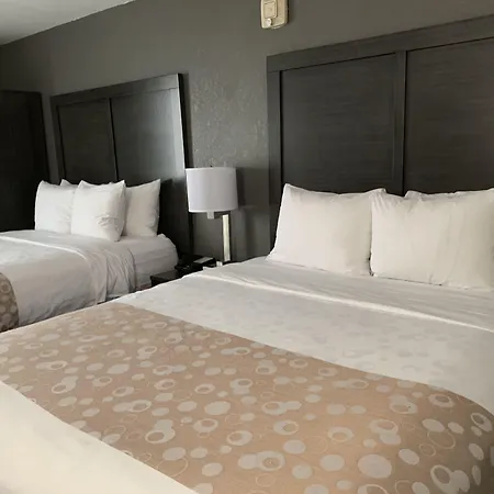 Comfort Inn Chicago Schaumburg - O'Hare Airport-3