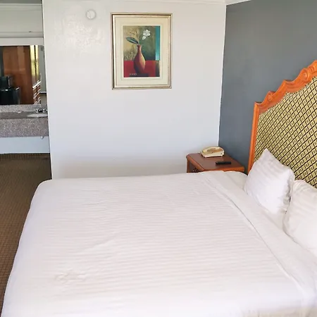 Hotel Elev8-2