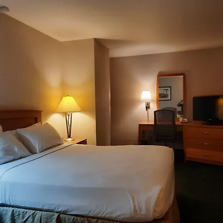 Rivertree Inn & Suites-2