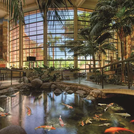 Embassy Suites By Hilton Phoenix Biltmore-2