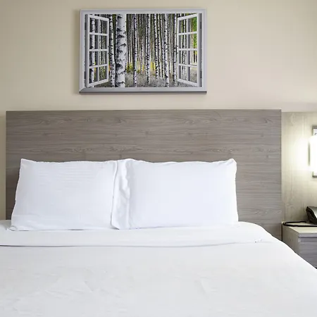 Hotel Aspen Flagstaff/ Grand Canyon Innsuites-3