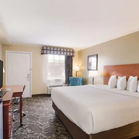 Best Western Conway-3