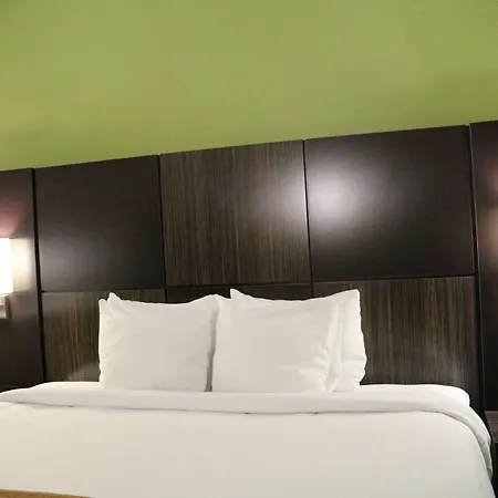 Best Western Knoxville Suites - Downtown-2