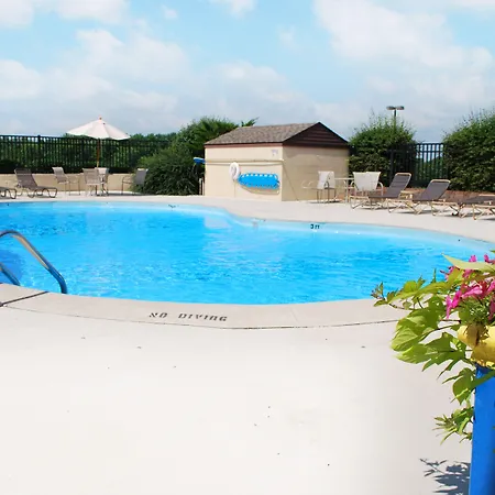 Clarion Pointe Jasper-3