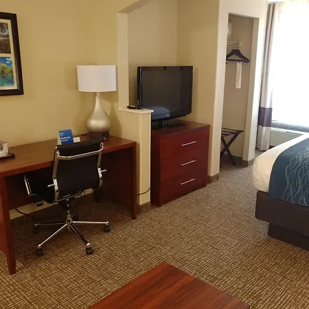 Comfort Inn Ocala Silver Springs-2