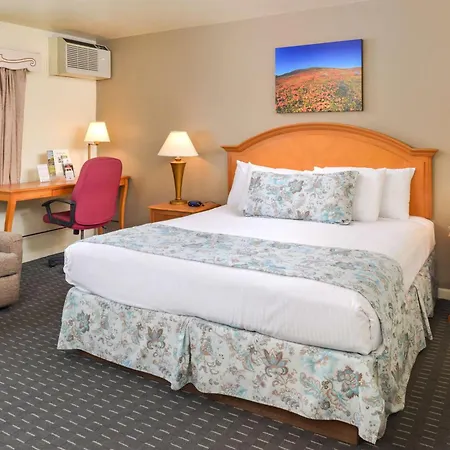 Svendsgaard'S Lodge- Americas Best Value Inn & Suites-3