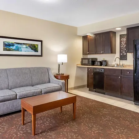 Comfort Inn Okemos - East Lansing-3