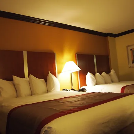 Best Western Ft Lauderdale I-95 Inn-3