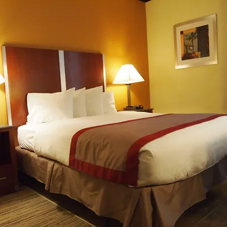 Best Western Ft Lauderdale I-95 Inn-2