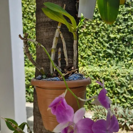 Ecopousada Miriti-2