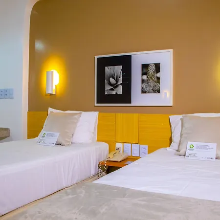 Rede Andrade Luxor-3