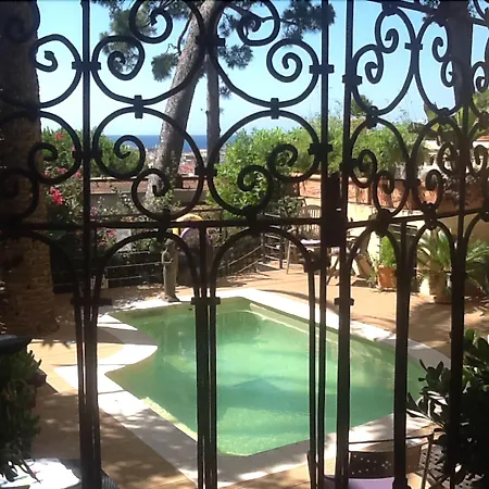 Hôtel Petit Palais-3
