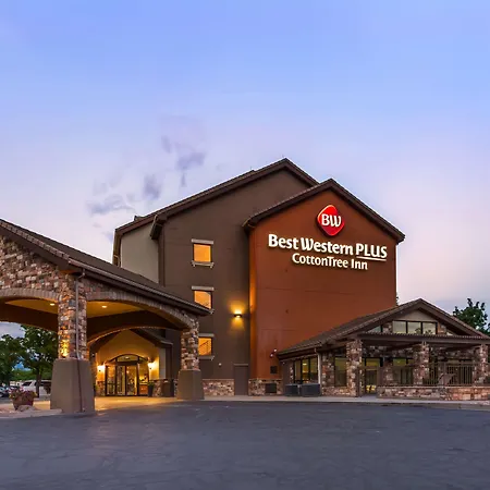 Best Western Plus Cotton Tree Inn-3