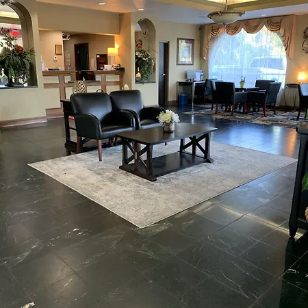 Econo Lodge Wesley Chapel I-75-3