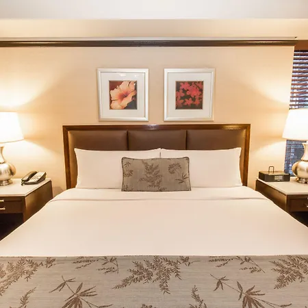 The Belvedere Hotel-2