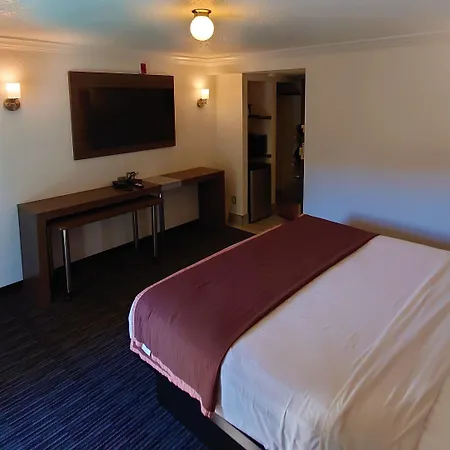 Reagan Resorts Inn (Adults Only)-3