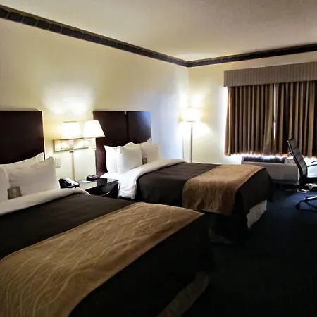 Comfort Inn & Suites Ftjackson Maingate-2