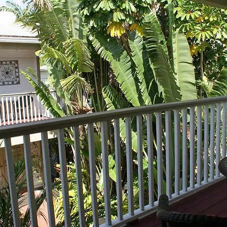 Sabal Palm House Bed And Breakfast-2