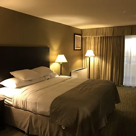 Wyndham Garden Ann Arbor-2