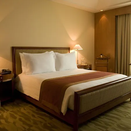 The Grand New Delhi-3