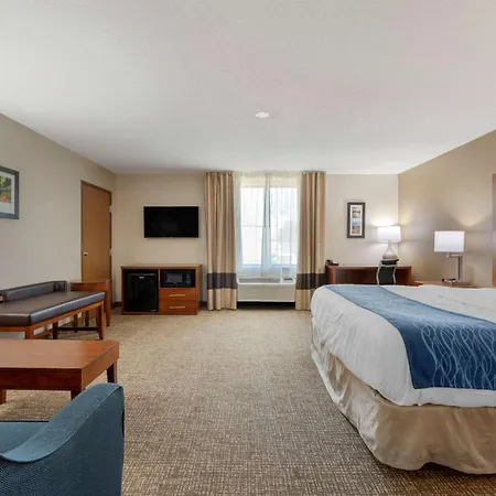 Comfort Inn Anderson South-2