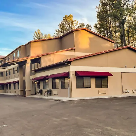 Comfort Inn & Suites Midtown-2