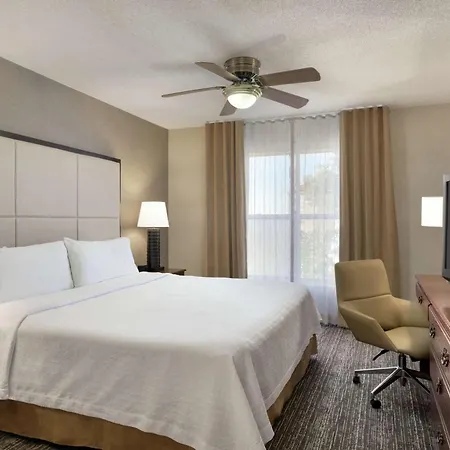 Homewood Suites By Hilton Dallas-Arlington-3