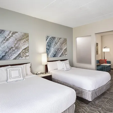 Springhill Suites By Marriott Chicago Schaumburg/Woodfield Mall-2