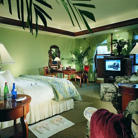 The Rose Hotel-3