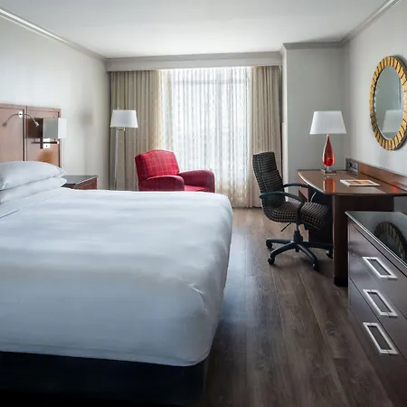 St. Petersburg Marriott Clearwater-2