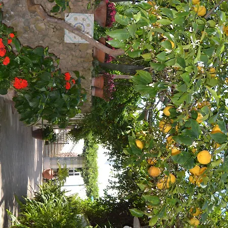Piccolo Tirreno Hotel Residence-3