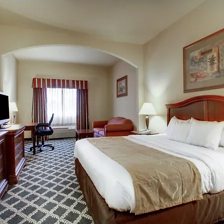 Clarion Suites Vidalia-3