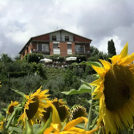Hotel Sangallo B&B - Panoramic Position - Valley And Vineyard View- Family Run-3