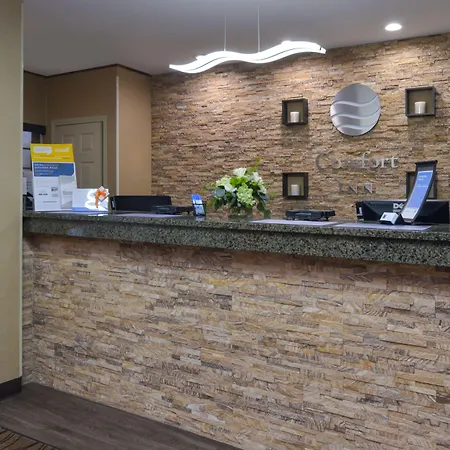 Spark By Hilton Guilford-3