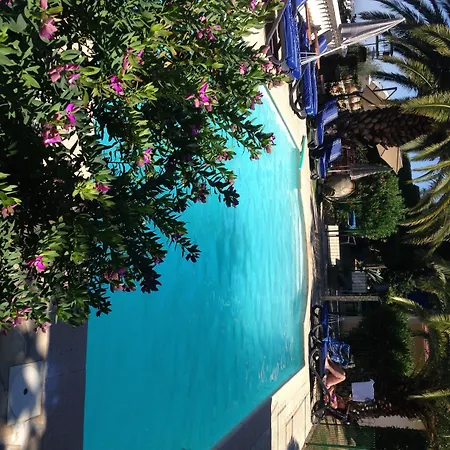Hôtel Miramar-3