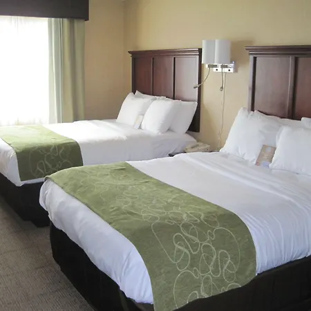 Comfort Suites Columbia - University Area-3